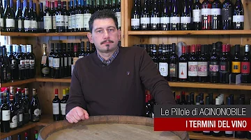 Cosa si intende per cuvée?