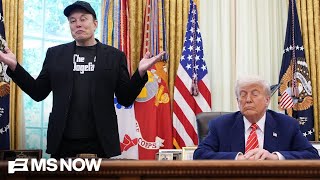 Trump’s ‘Bubble’ and Elon as ‘Co-President’: Haberman & Swan share more EXPLOSIVE details
