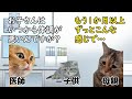 姉妹たちが同じ症状で体調不良に…？育児に献身的な母親とその娘たちに一体何が？【猫ミーム】