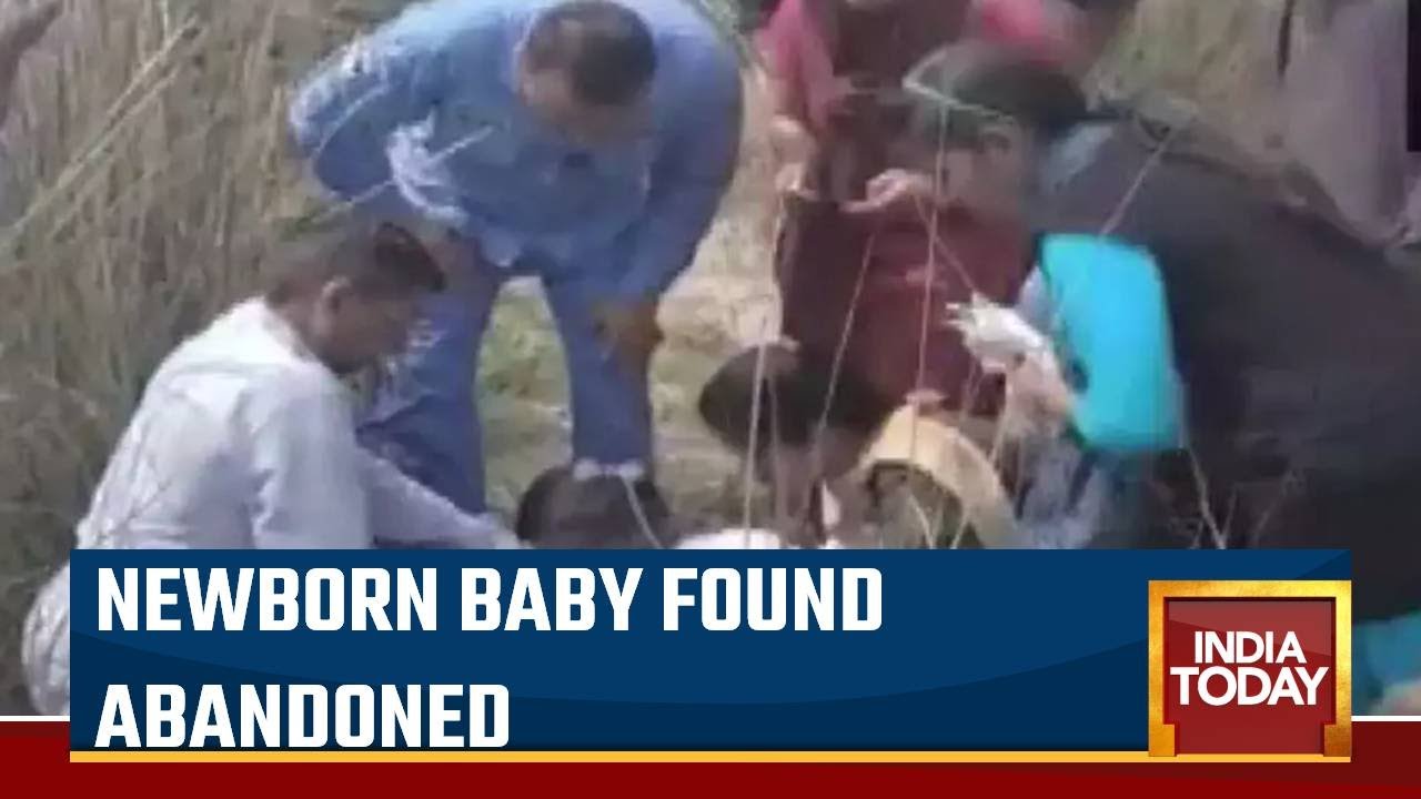 Haryana: Newborn Baby Found Abandoned In Bushes In Yamunanagar; Rescued ...