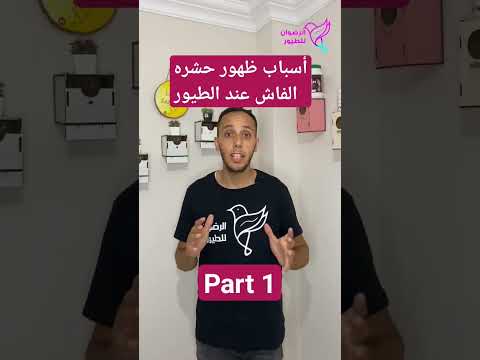 أسباب ظهور حشره الفاش عند طيور الزينه ببغاء ترويض الكوكتيل