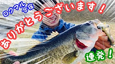 カバースキャットで琵琶湖北湖に挑む10ポンドオーバー捕獲 琵琶湖北湖21 5 1 Youtube カバースキャットで琵琶湖北湖に挑む10ポンドオーバー捕獲 琵琶湖北湖21 5 1 Youtube