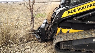 Clearing trees out of a fence line with a tree puller from Lackender Inc