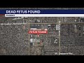 Dead fetus found in west Phoenix neighborhood
