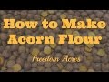 How to Make Acorn Flour (Acorn Meal)