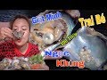 🇯🇵Mạnh Tay Chi Tiền Ăn Thử Con Trai Lấy Ngọc➡️Giá Siêu Khủng💰 Chưa Từng Có #177