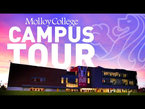 Molloy College Campus Tour 2020 #molloycollege #molloylife