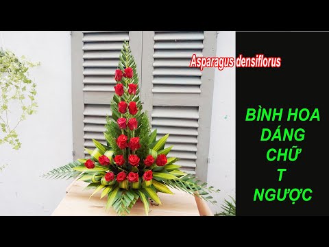 Video Hướng dẫn cắm bình hoa hồng đỏ dáng chữ T ngược - youtube