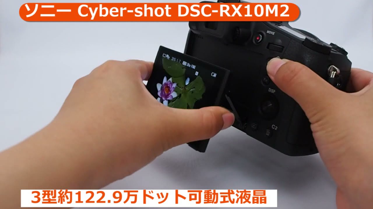 ソニー Cyber-shot DSC-RX10M2 コンパクトデジタルカメラ
