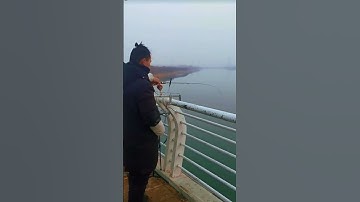 Câu cá bè, câu ngâm Ikada cá sông bao phê #shorts #fishing