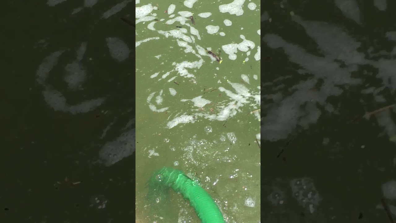 champion 66520 semi trash transfer pump review