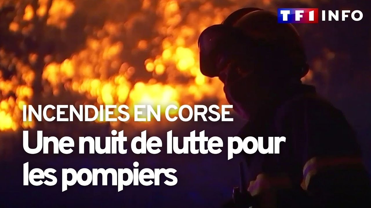 Incendie en Corse : 200 hectares brûlés après 