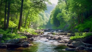 Музыка лечит сердце и сосуды🌿 Успокаивающая музыка восстанавливает нервную систему,расслабляющая #4