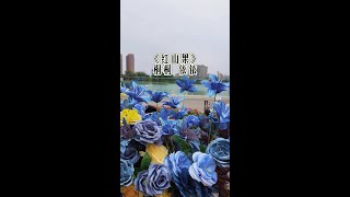 萌娃版《紅山果》手勢舞 #小太陽閆樂桐 姐妹#紅山果 #手勢舞 #原創視頻 #熱門