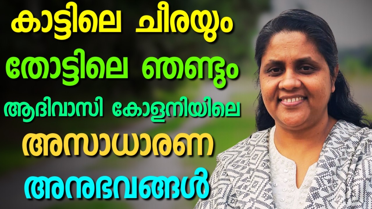 ഹൃദയസ്പർശിയായ ഒരുപാട് അനുഭവങ്ങളുടെ ഓർമ്മകൾ || SHEEBA STANLY || AROMA TV