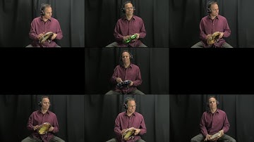 Samba Reggae on Pandeiro