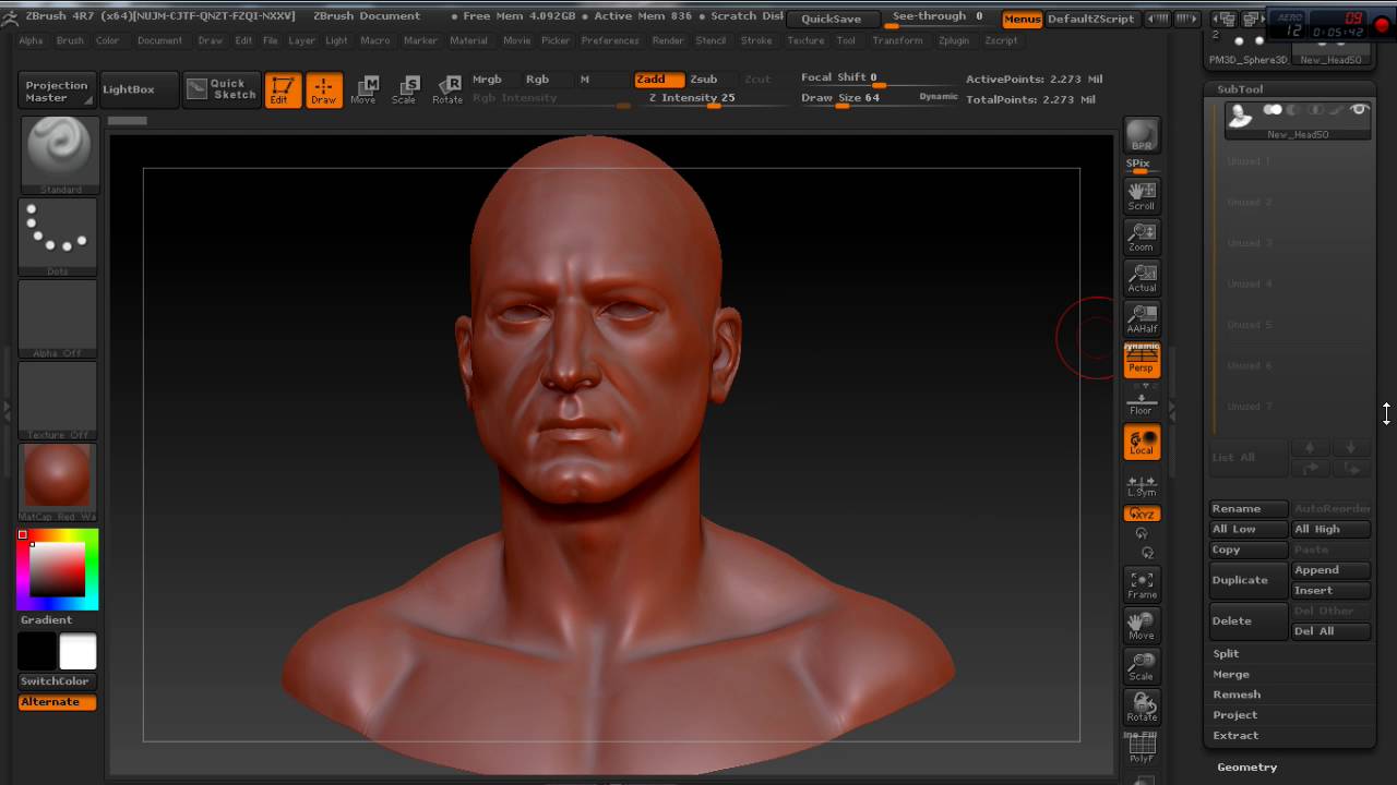 zbrush how to mirror subtool