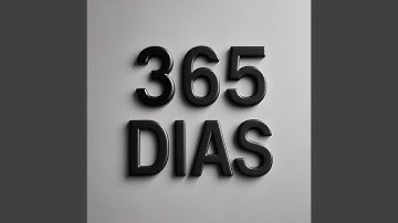 365 dias