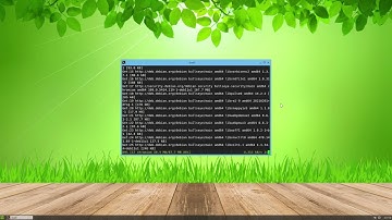 Slax 11.6 (Debian Based)....A build your own distro for all!