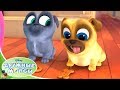 🐾 Дружные мопсы - Серия 9 Сезон 1 - Мультфильмы Disney