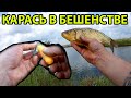 Cheetos for fishing,Положил это в кормушку и карась попер,Прикормка на карася,Рыбалка,Ловля карася