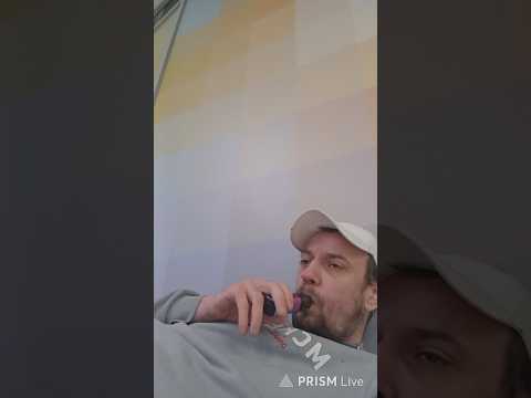 Yorkies phone stolen by man in a wheelchair