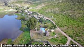 El Tangue