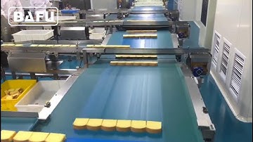 cake packaging machine,bread packaging machine,biscuit packaging machine,flow wrapper,flow-pack