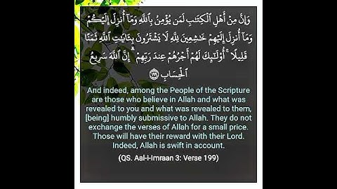 القرأن الكريم سورة ال عمران الأية 199 Quran Translated to English #quran #relaxing