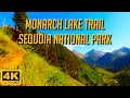 Is this the MOST EPIC HIKE in Sequoia National Park? - Monarch Lake Trail -  Virtual Hike in 4K HD