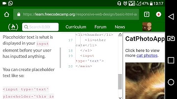 Basuc HTML and HTML5 part18: Add Placeholder Text to a Text Field