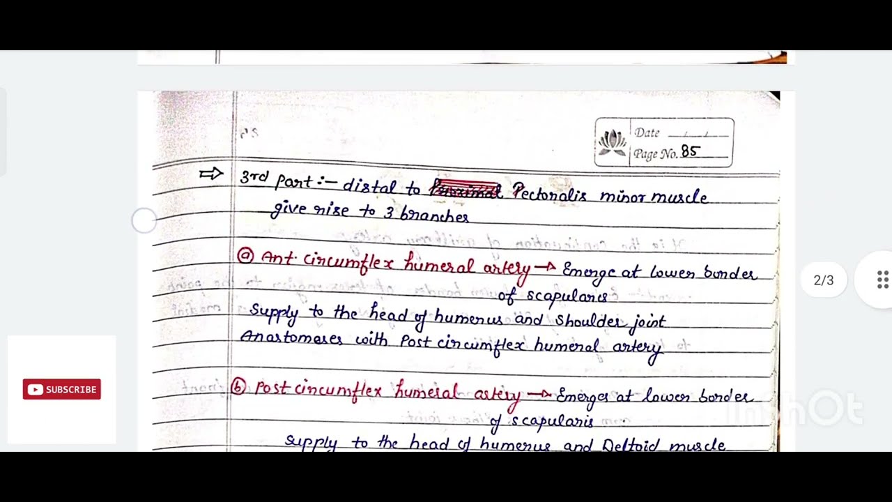 Axillary and brachial artey Handwritten✍️ Notes||