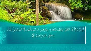 تحسين ابراهيم دوسكي - تەفسیرا سورة الملك