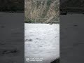 #himachal #spiti #shorts #shortvideo