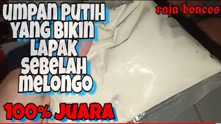 UMPAN PUTIH HARIAN DAN LOMBA IKAN MAS JUARA | ANTI  BONCOS