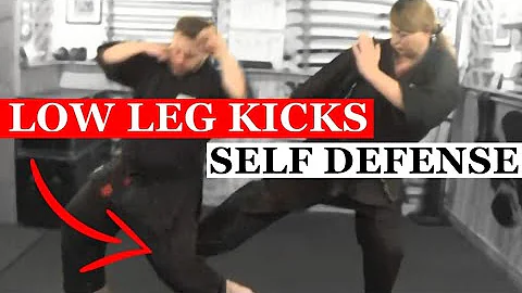3 LOW LEG KICKS THAT WORK IN SELF DEFENSE | Ninjut...