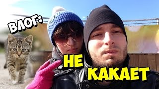 Влог: Взяли котика. Каменка Красноярск. Котенок не какает. Влог: Взяли котика. Каменка Красноярск. Котенок не какает.