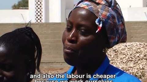 The FAO-Thiaroye Processing Technique (FTT-Thiaroye) Part 3