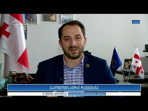 ეკონომიკური რეცესია - ირაკლი მეზურნიშვილი დღის ქრონიკაში