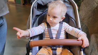 Waylon Goes to the Aquarium