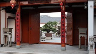 Chinese Penjing garden 'Qingyi Yuan'