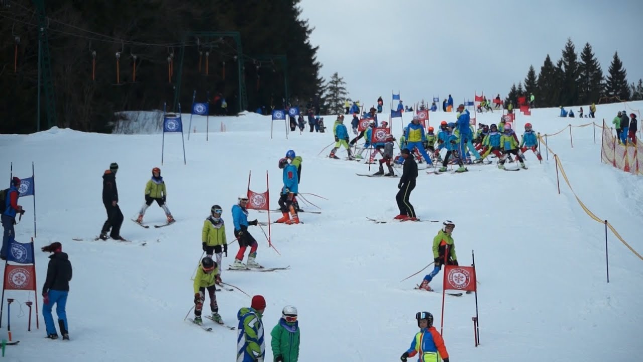 Závod v paralelním slalomu 2018