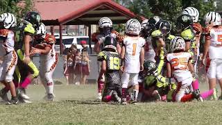 Black Mambas vs Bengals