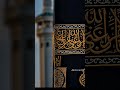 لبیک اللہم لبیک 🕋🕋🥀🥀 #amaizing #awesemo #makkah #madinah #viral #islamic #short ##reelscreator