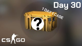 OPENING WEAPON CASE IN CSGO 1 DAY 1 CASE l DAY 30