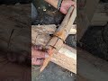sawing wood on bamboo, the traditional art of starting a fire #firemaking  #survivalfire