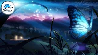 Dimension Music 🛸 Eskotromania - Butterfly