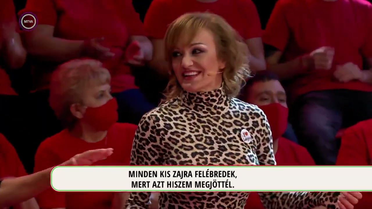 Magyarország, szeretlek! zenekar – Azok a boldog szép napok