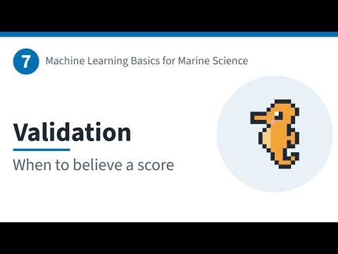 7 · Validation: when to believe a score | ML Basics for Marine Science