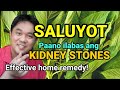 SALUYOT KIDNEY STONE TREATMENT ||  How To Flush Out Kidney Stone With SALUYOT